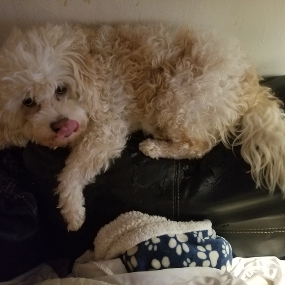 Meet your Posher, Melvin - Picture 8 of 8